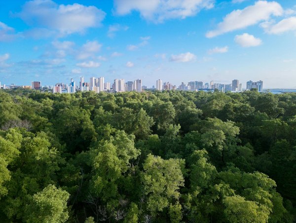 Réminiscences : Les séries TV disparues en 2020 qui ont marqué nos esprits